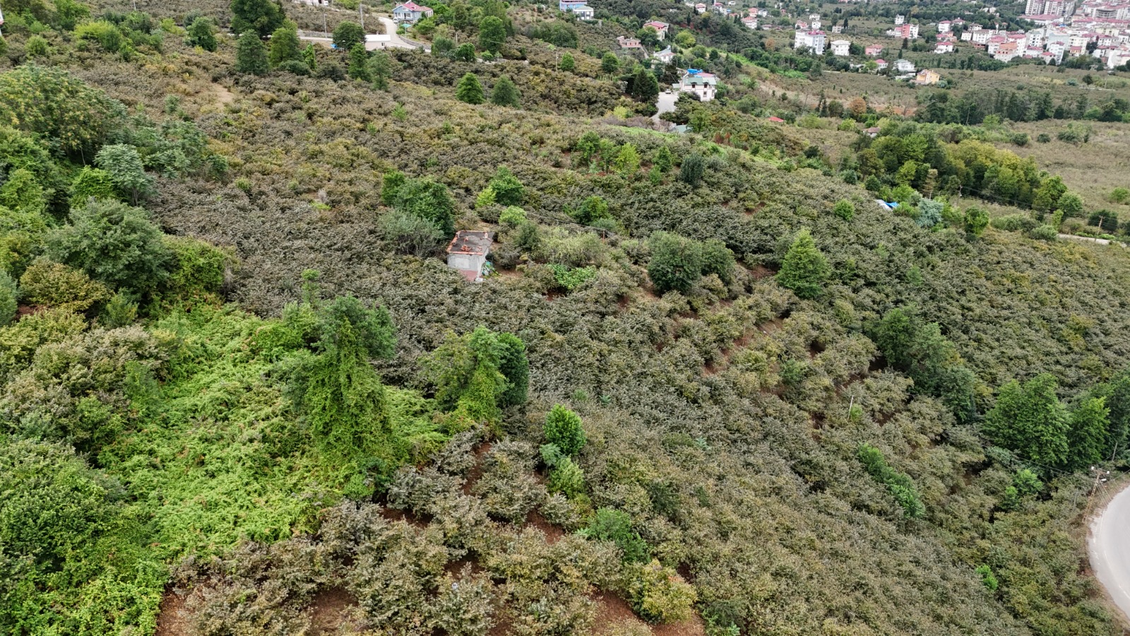 MABEL GAYRİMENKUL/BEŞİKDÜZÜ/ BEŞİKDAĞI TOKİ KARŞISI SATILIK ARSA